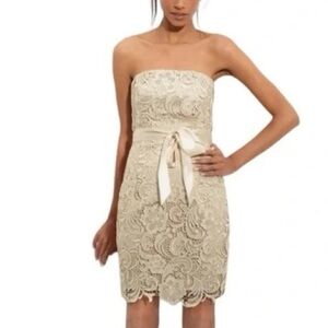 Adrianna Papell Strapless Lace Cocktail Dress NWT Lined Satin Belt Boning Bridal
